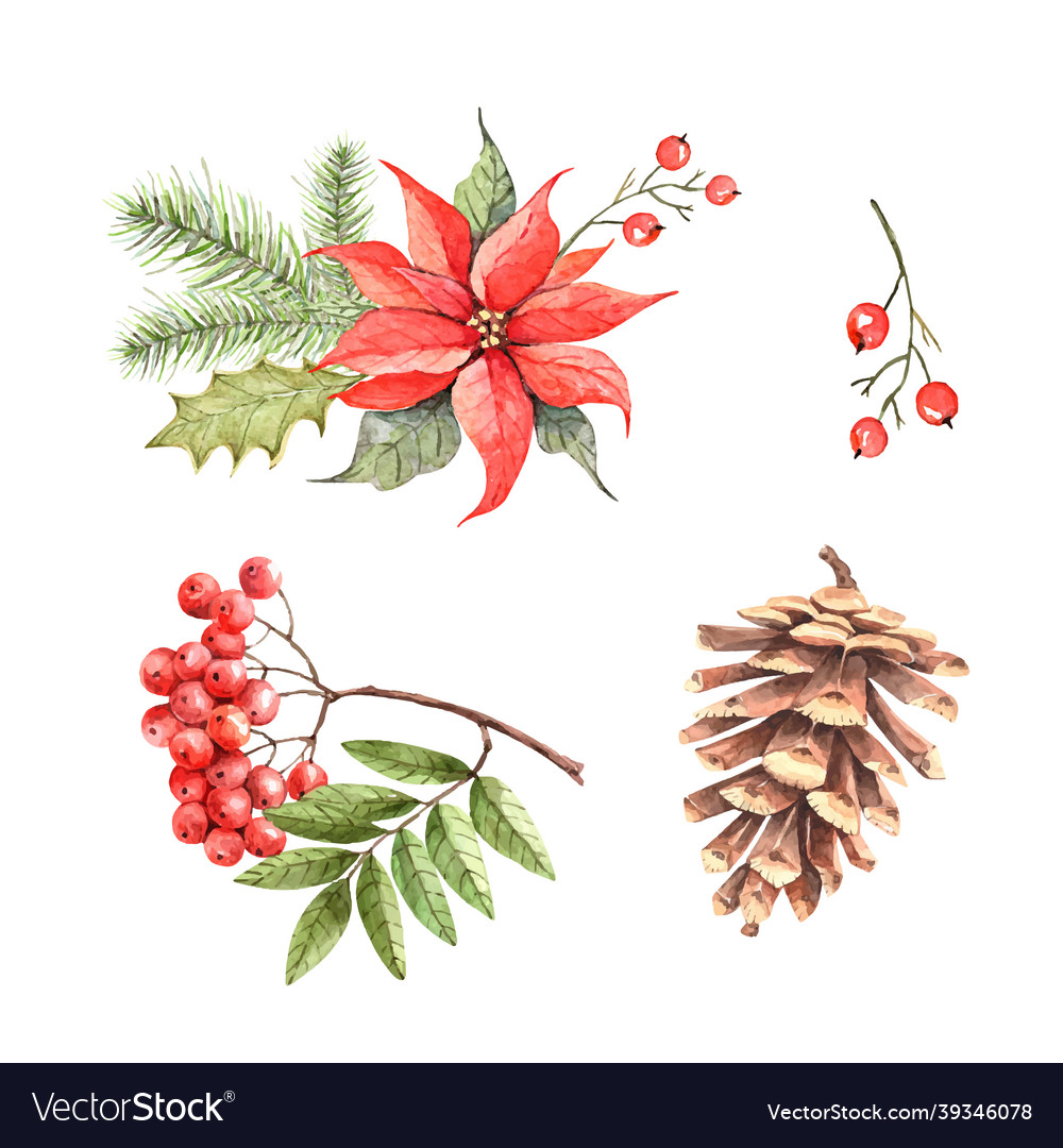 Set of christmas botanical