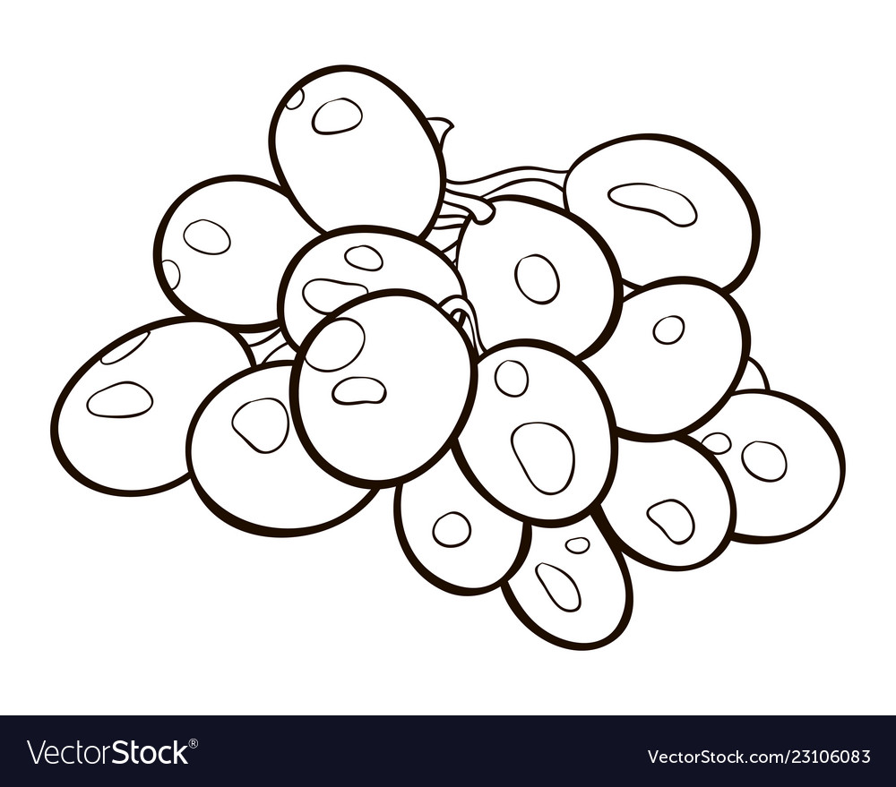 Adult coloring bookpage a cartoon grape image Vector Image