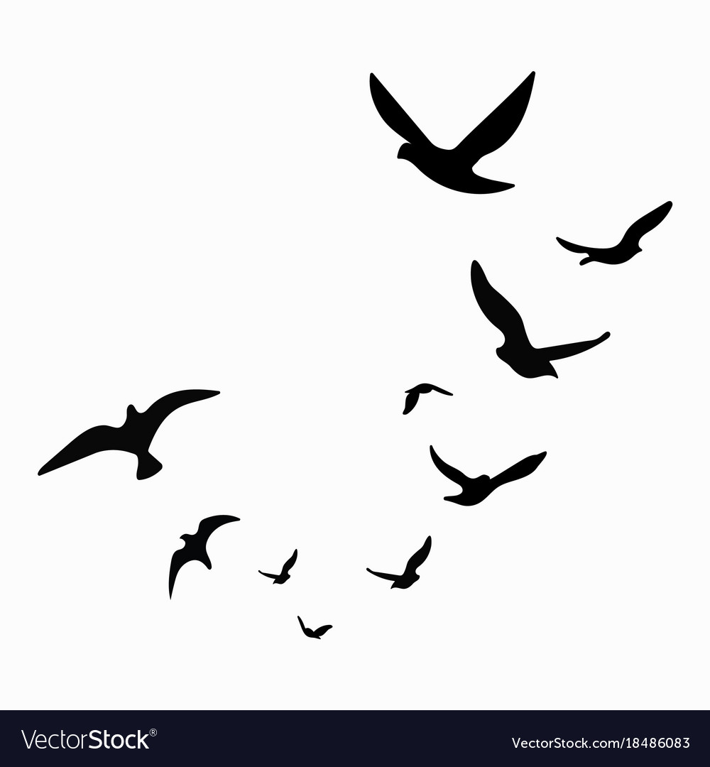 Black Bird Flock Silhouette
