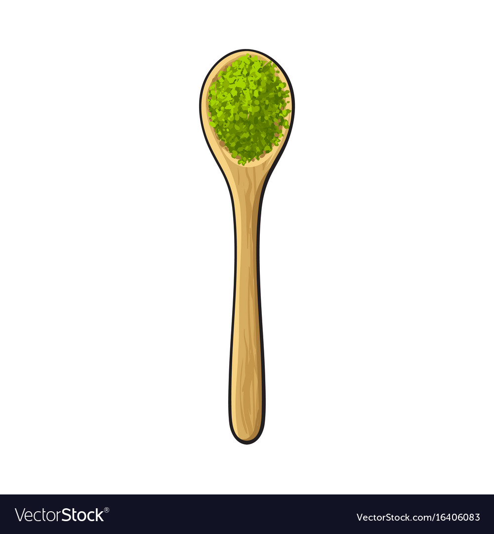 Drawing of bamboo wooden spoon with matcha green