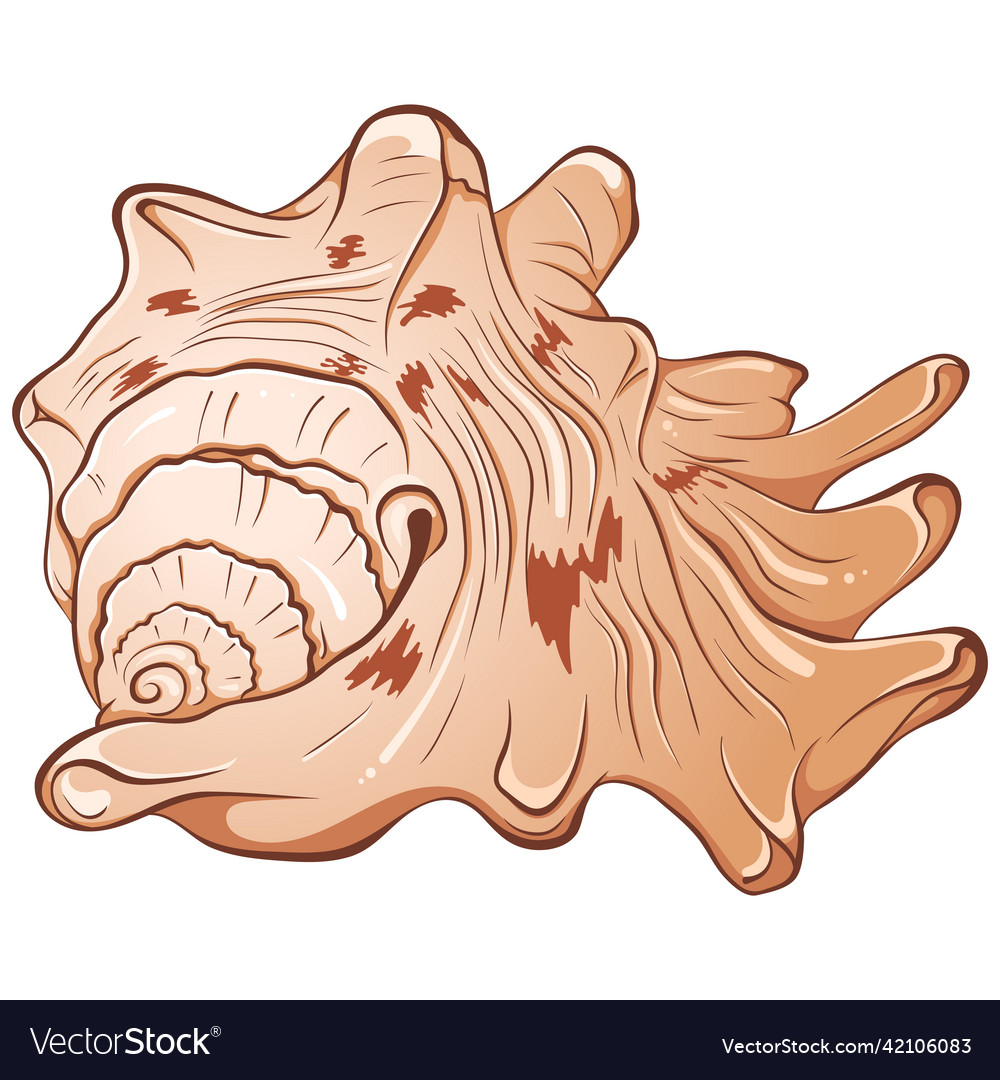 Spiked seashell arbitrary shape color vector image Spiked seashell arbitrary shape color