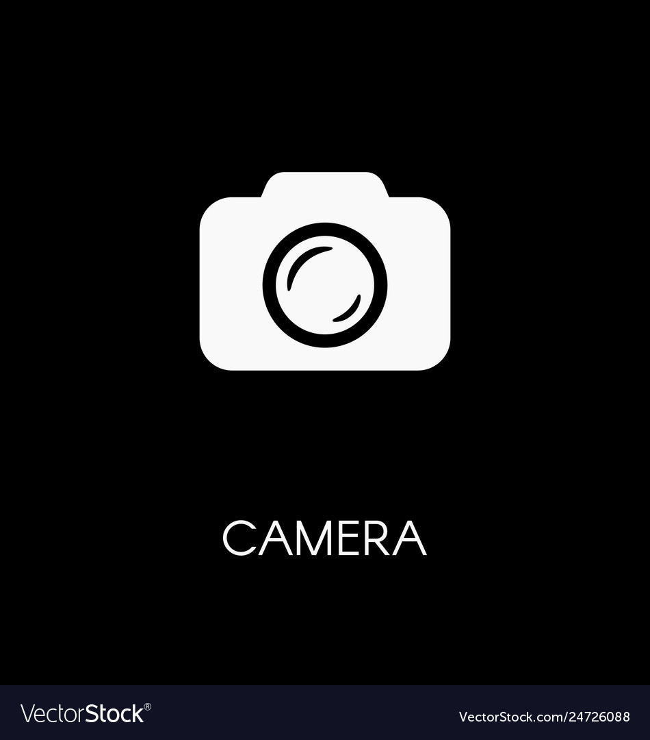 Camera photocamera icon simple flat