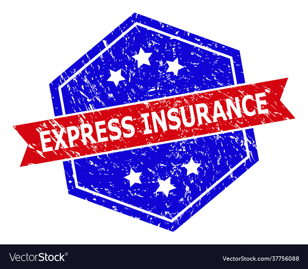 Hexagonal bicolor express insurance seal Vector Image