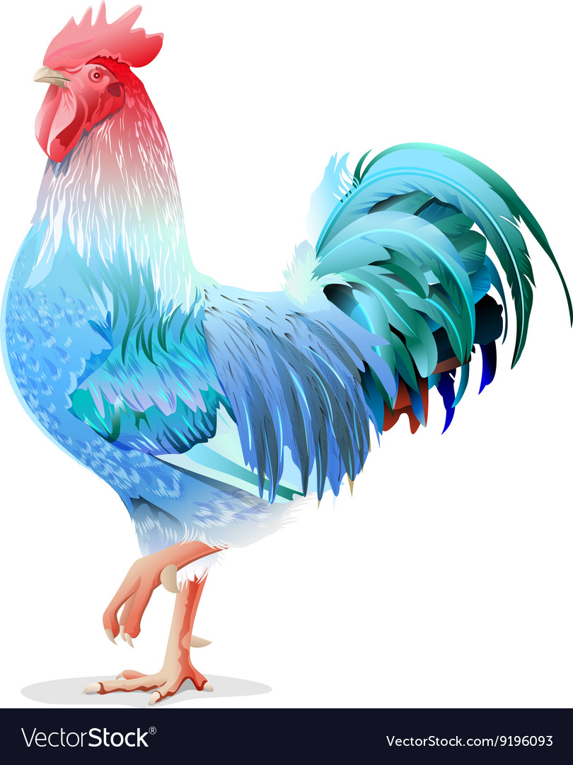 Blue rooster symbol 2017 by chinese calendar