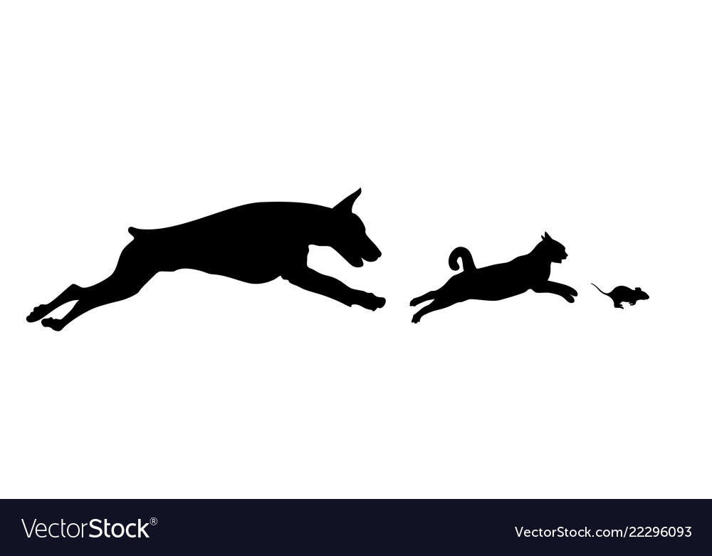 Dog Cat And Mouse Royalty Free Vector Image Vectorstock Dog Cat And Mouse Royalty Free Vector Image Vectorstock