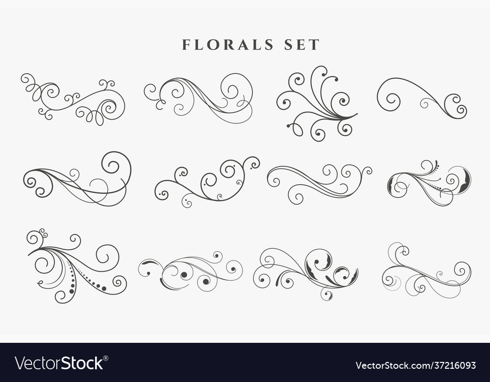 Floral Ornaments & Swirls Set
