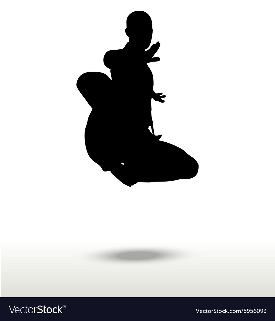 Karate silhouette