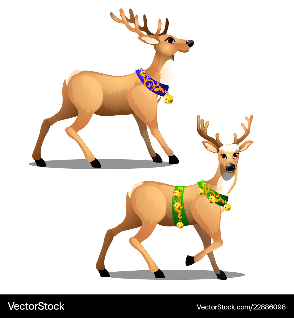 Set animated christmas deer with beautiful Vector Image