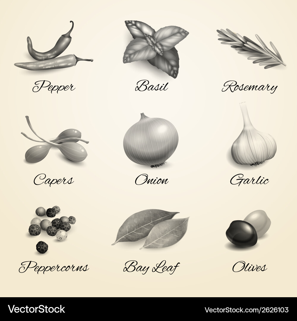 Herbs And Spices Set Royalty Free Vector Image