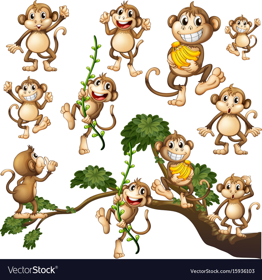 Wild monkeys in different actions Royalty Free Vector Image