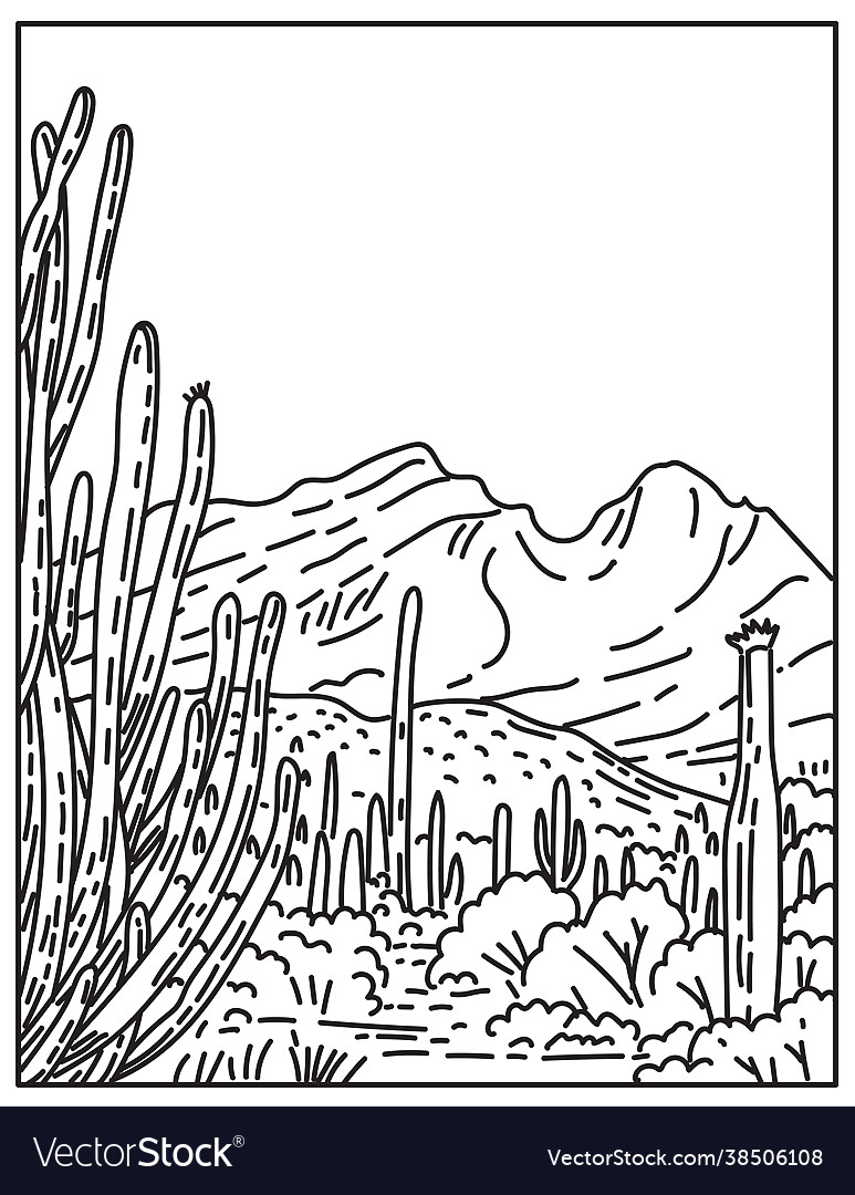 Organ pipe cactus national monument vector image Organ pipe cactus national monument