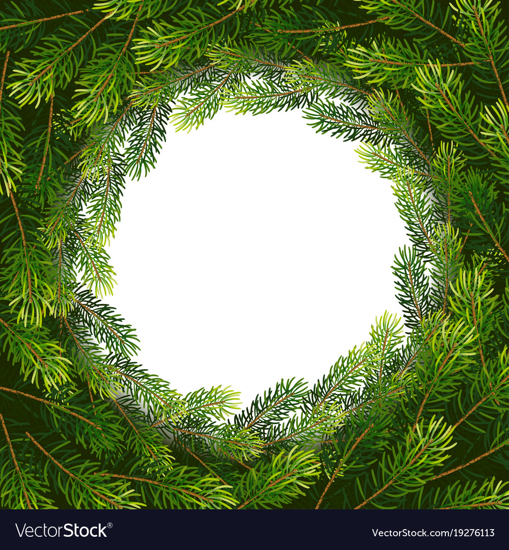 Christmas wreath borders from fir branches