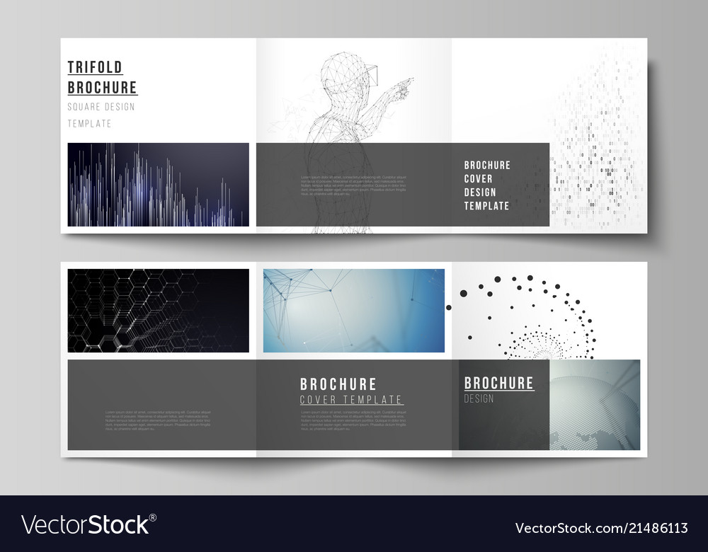 Minimal editable layout of square Royalty Free Vector Image