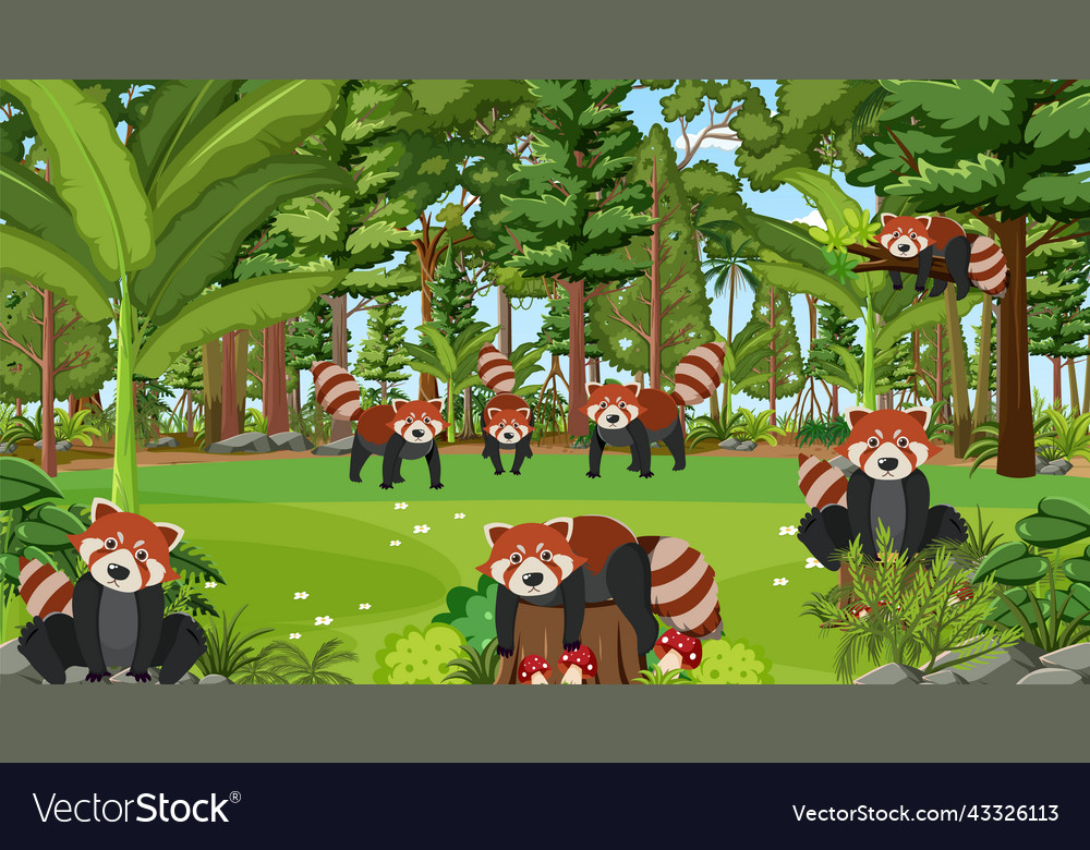 Red pandas in the forest scene