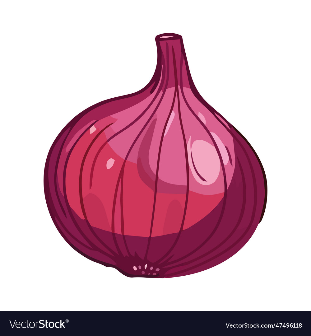 Fresh onion ripe and organic seasoning icon