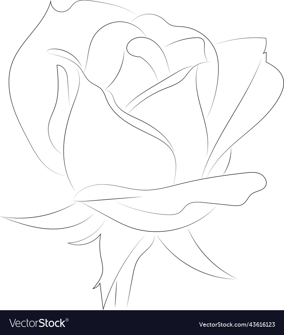 A simple black and white line pattern