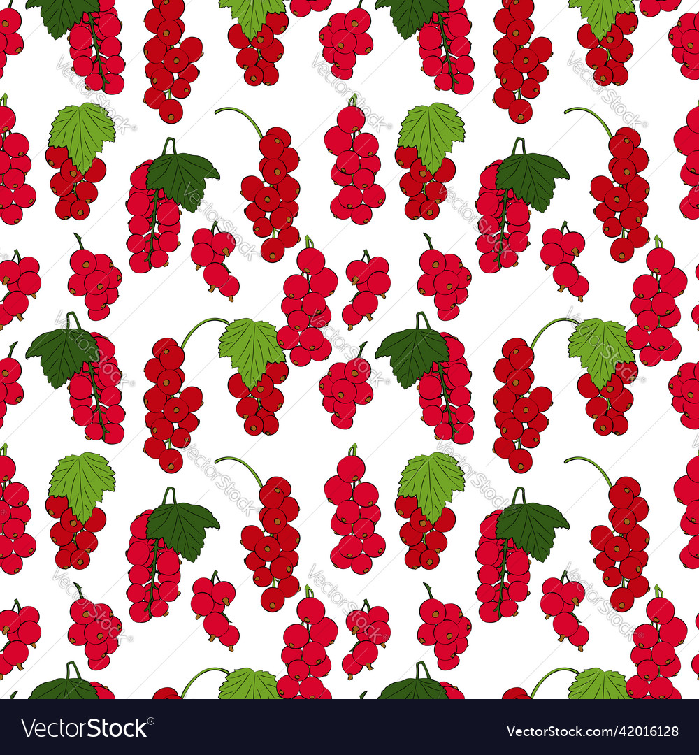 A set of seamless patterns current berries vector image A set of seamless patterns current berries