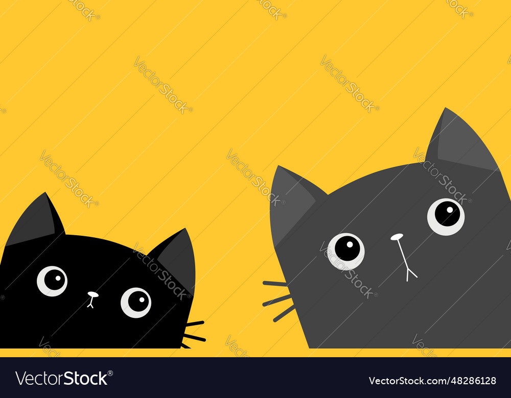 Cat face head in the corner black gray kitten Vector Image