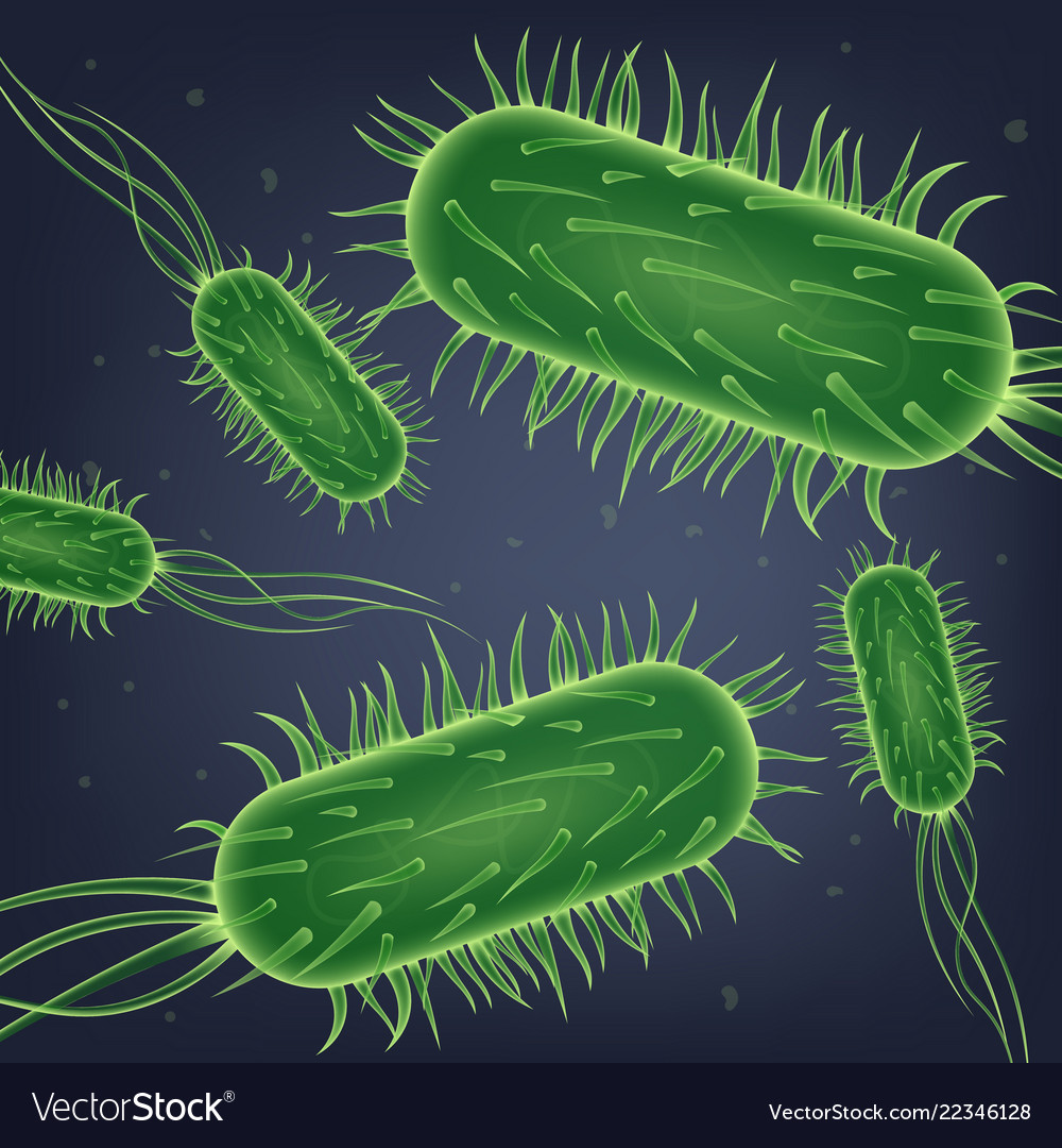 Escherichia coli bacteria colony realistic