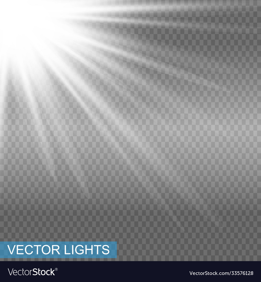 White glowing light explodes on a transparent Vector Image White glowing light explodes on a transparent