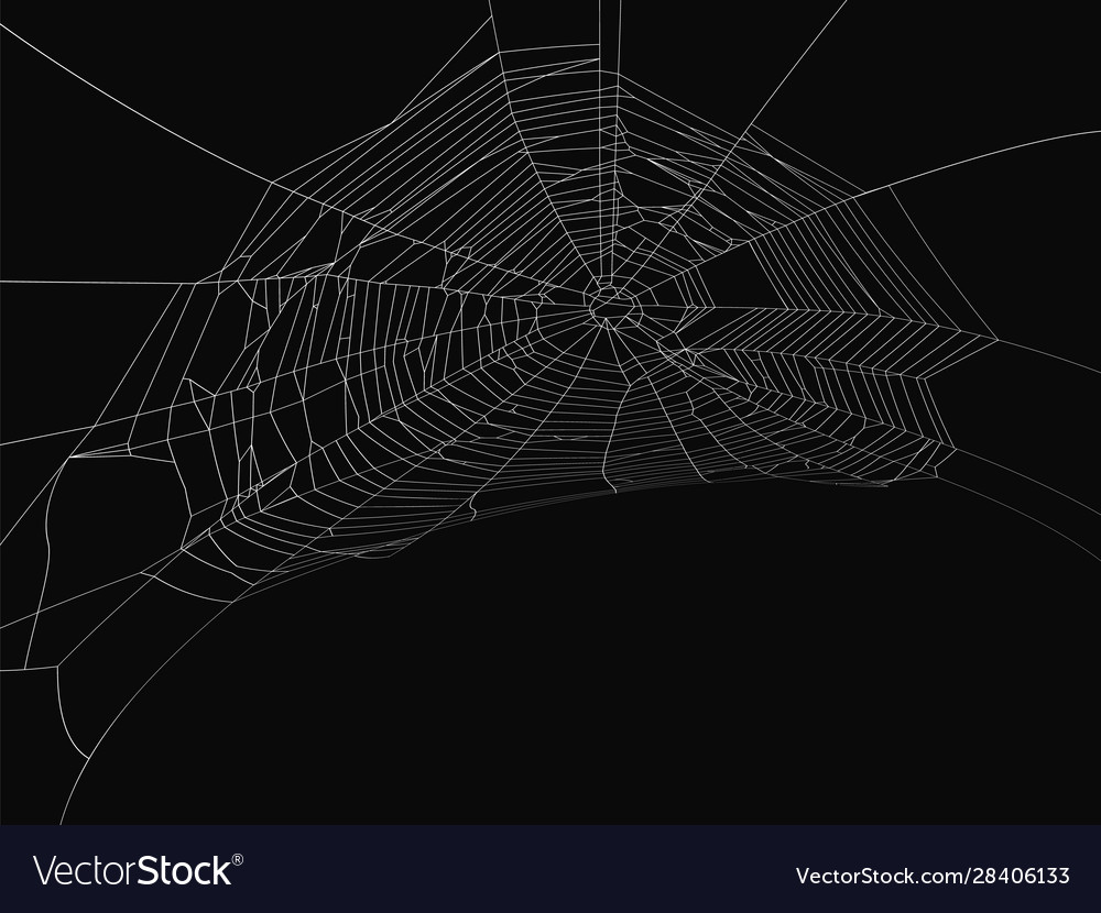 Cobweb decorative element spiderweb