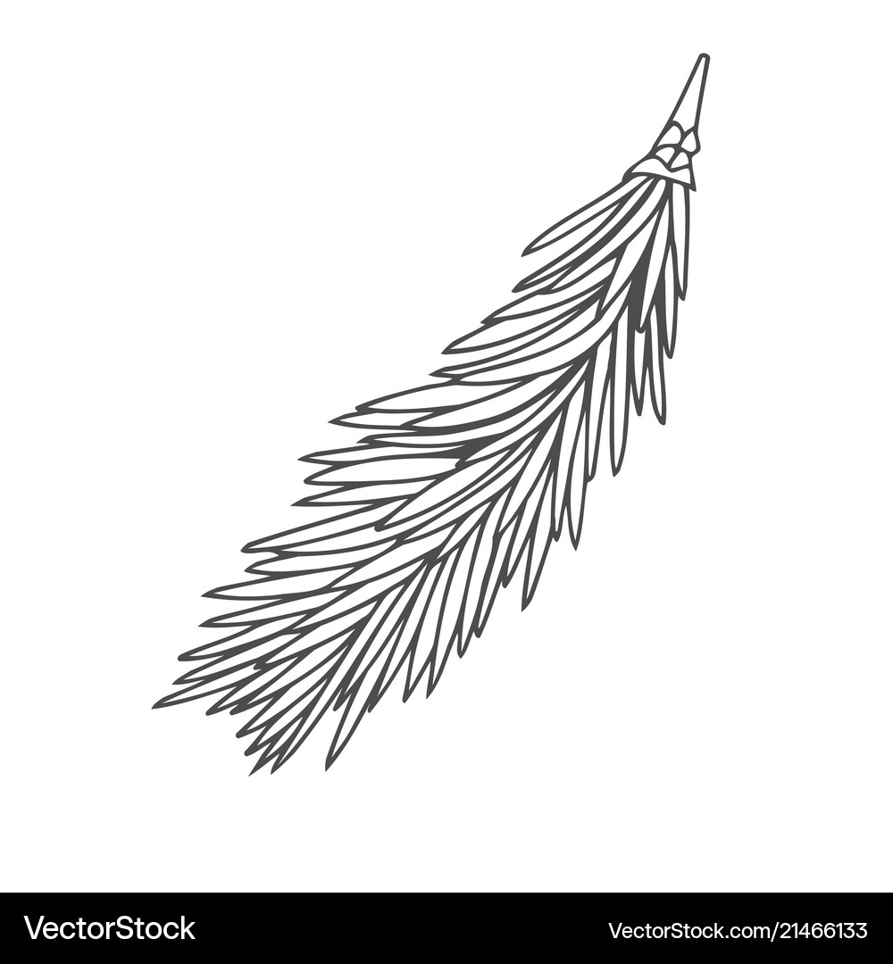 Hand drawn pine tree Royalty Free Vector Image