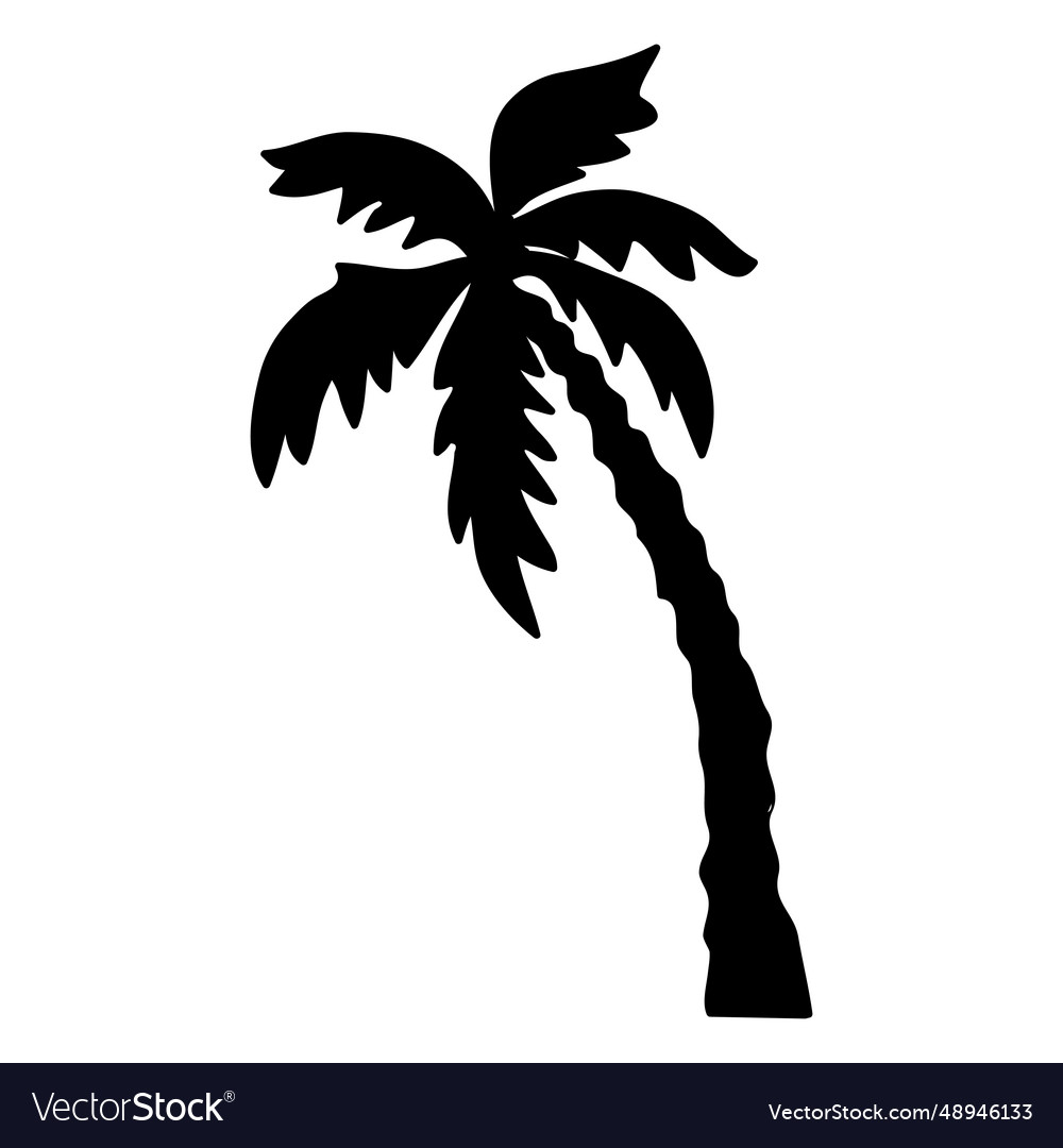 Palm tropical tree silhouette