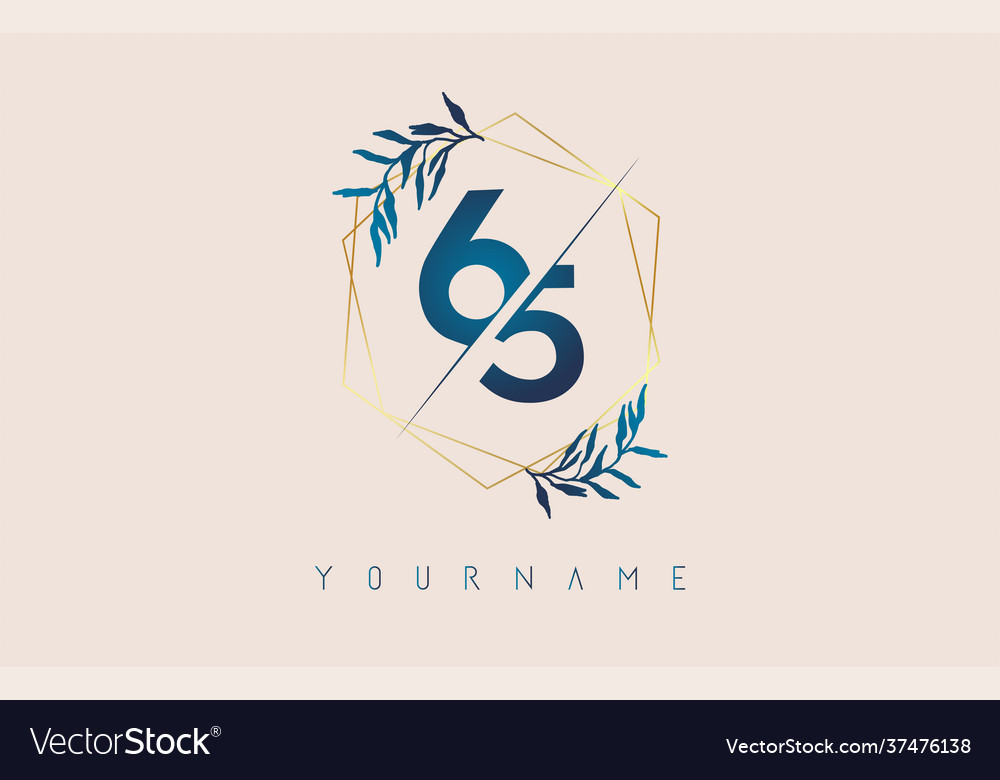 Number 65 6 5 logo with golden polygon frames