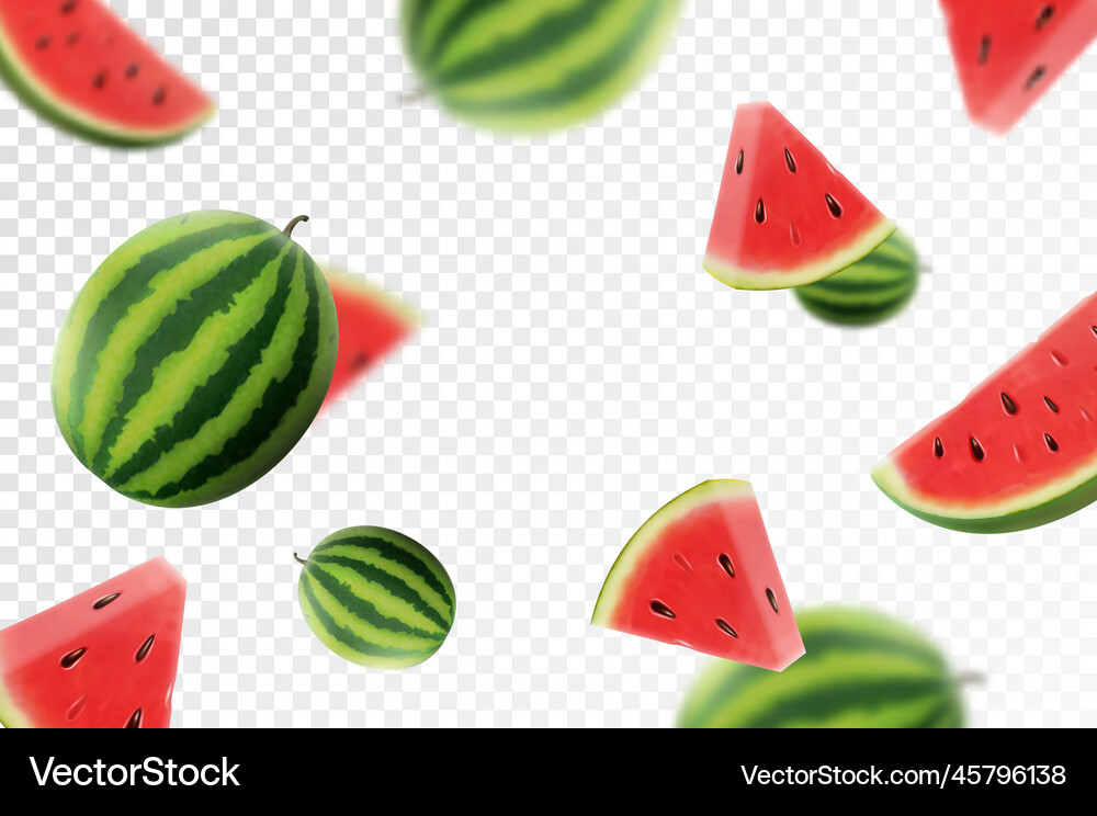 Watermelon background flying whole and sliced Vector Image