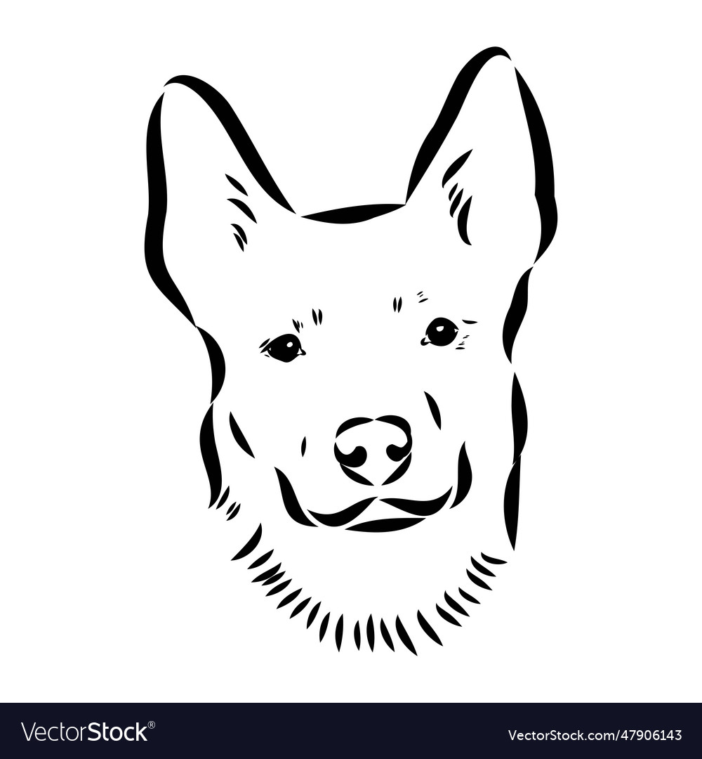 Decorative portrait of standing in profile Vector Image