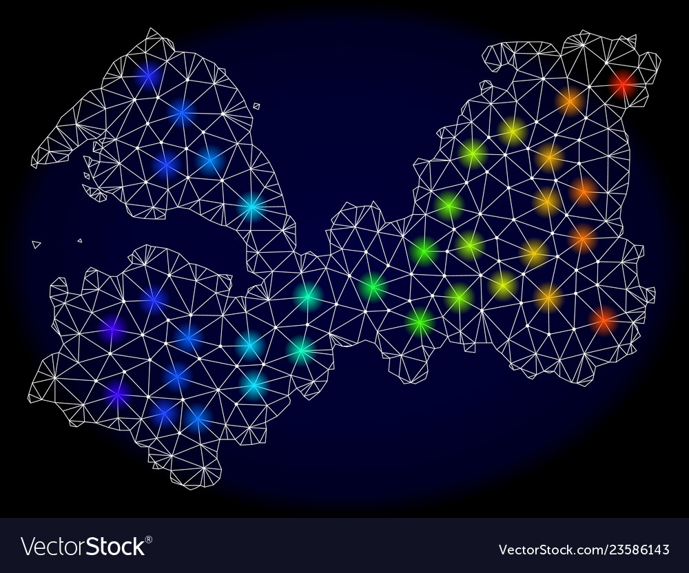 Polygonal carcass mesh map of leningrad region