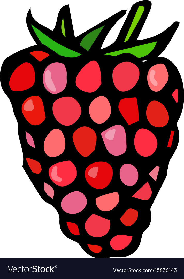 Raspberry doodle style sketch isolated