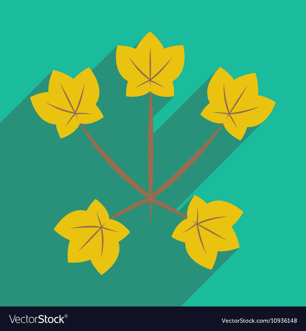 Flat with shadow icon and mobile application maple