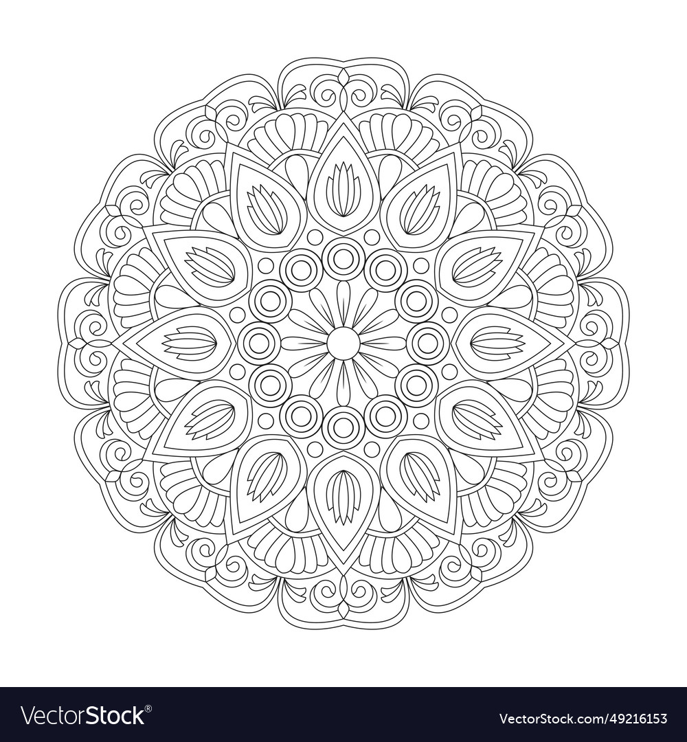 Enchanted garden adult mandala coloring book page vector image Enchanted garden adult mandala coloring book page