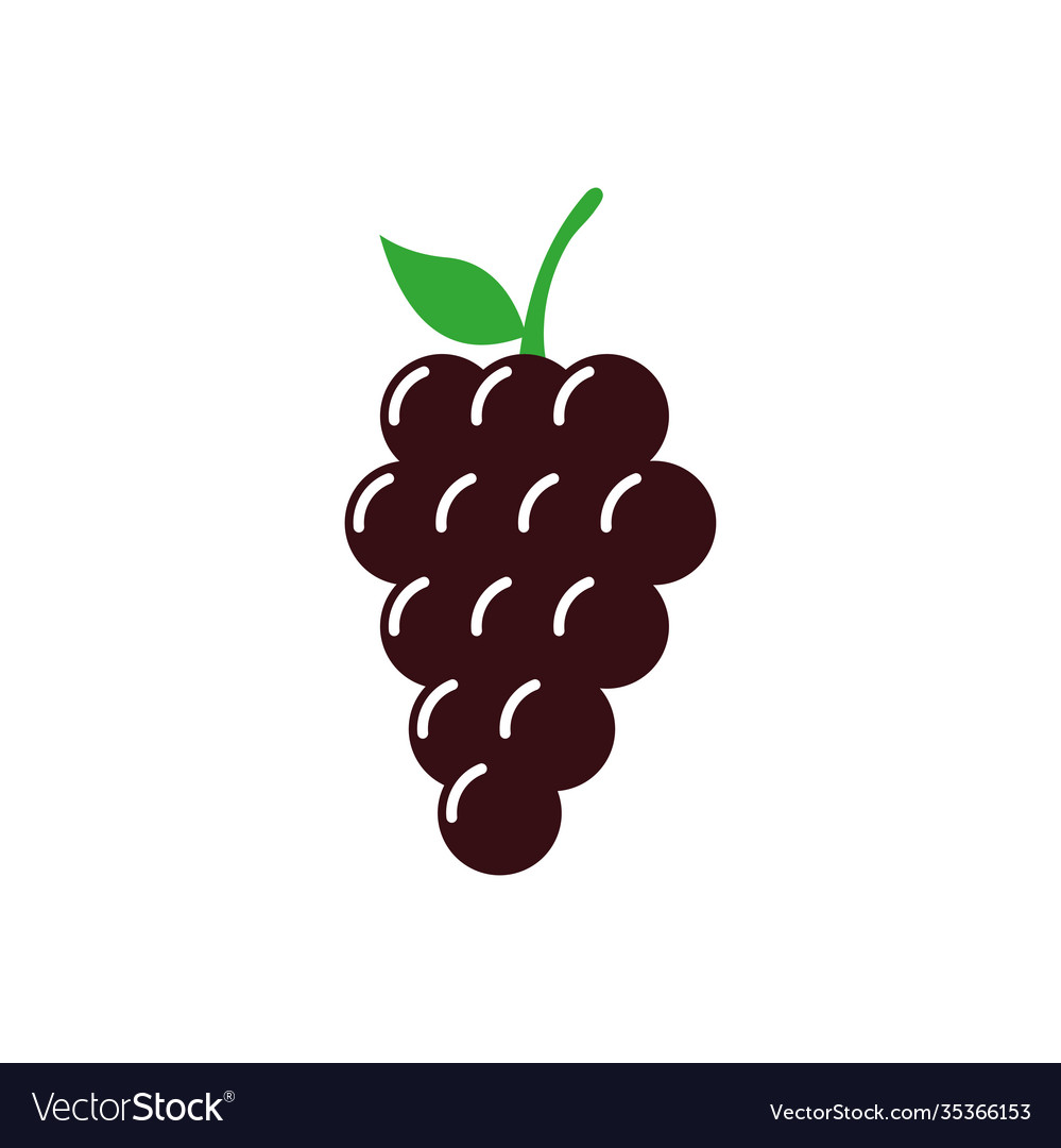Grape icon design template isolated