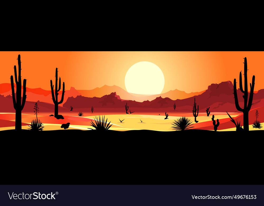 Mexikanische Wüste Sonnenuntergang Silhouette