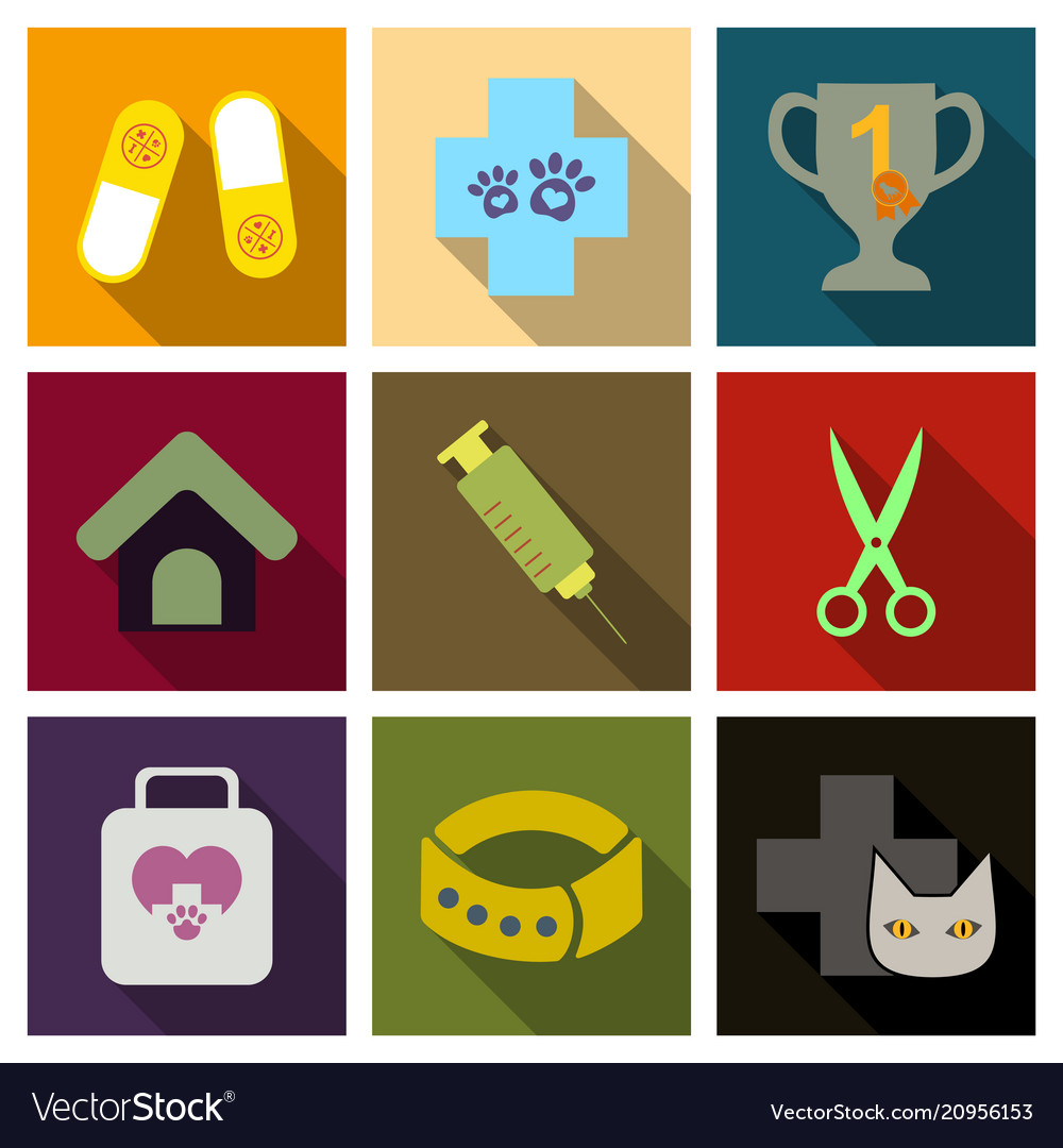 Set of flat icons veterinary science