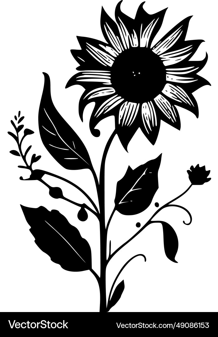 Sunflower black and white Royalty Free Vector Image
