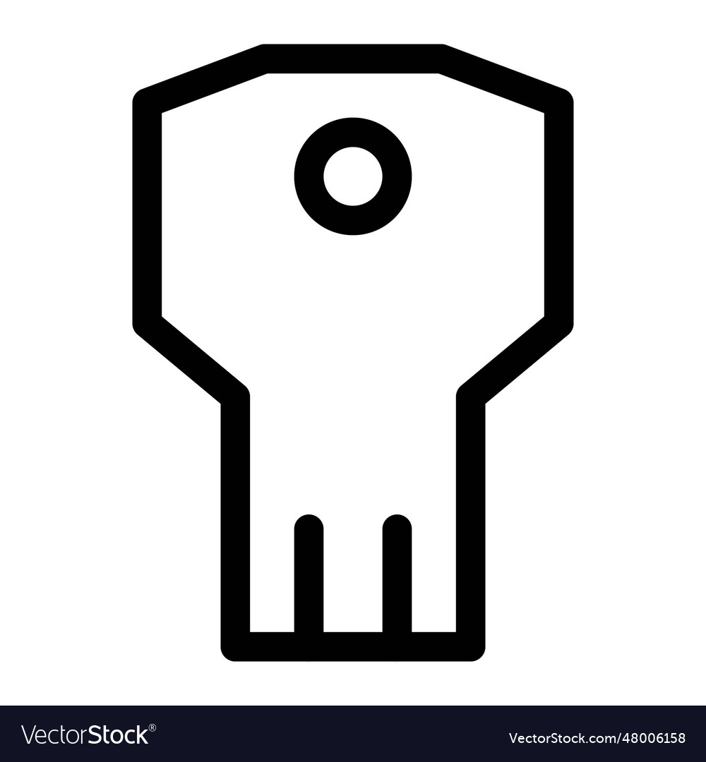 Key used for encryption of programs