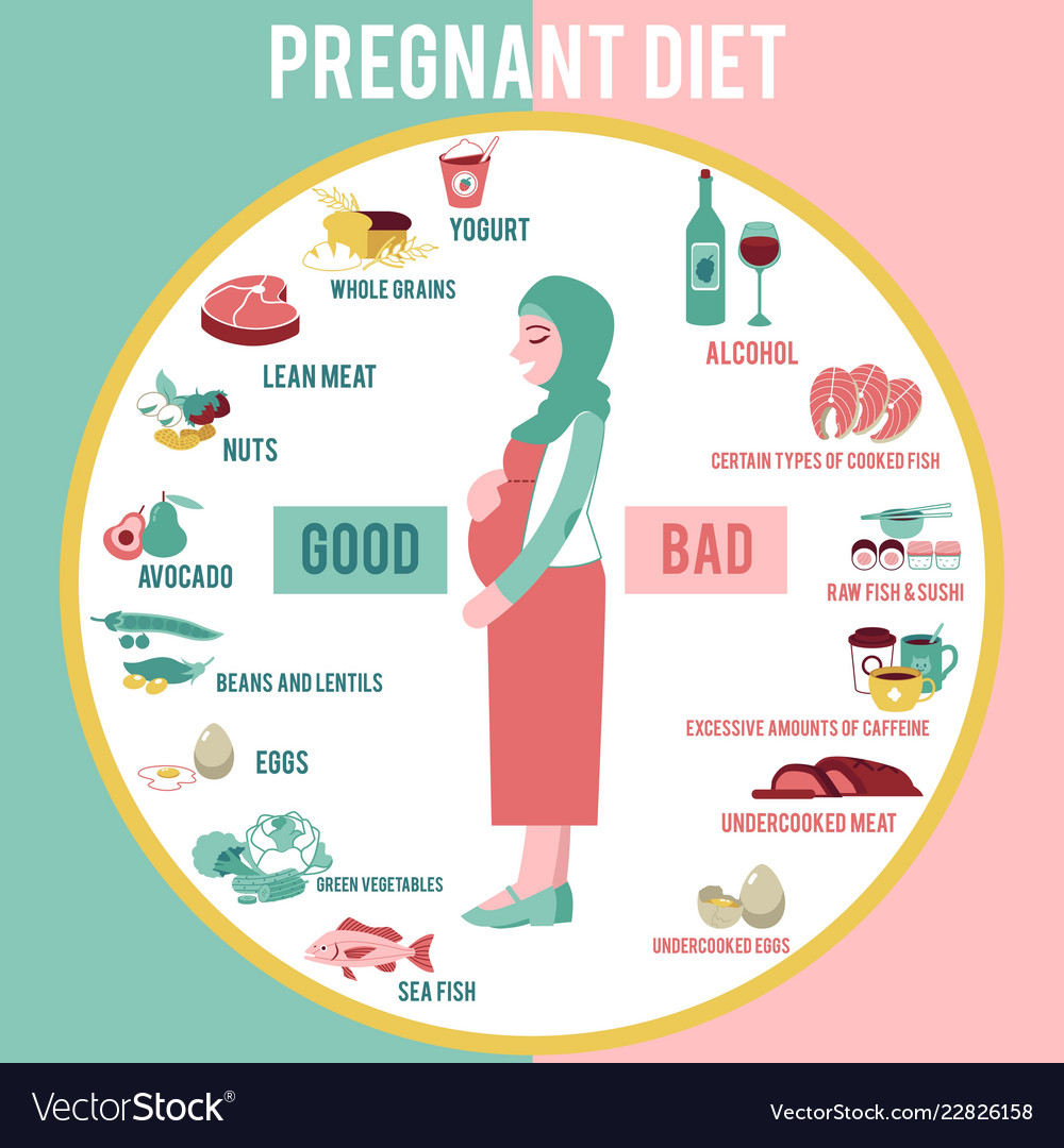 Pregnant woman diet infographic Royalty Free Vector Image