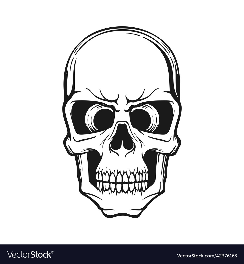 Human skull stylized monochrome logo vector image Human skull stylized monochrome logo