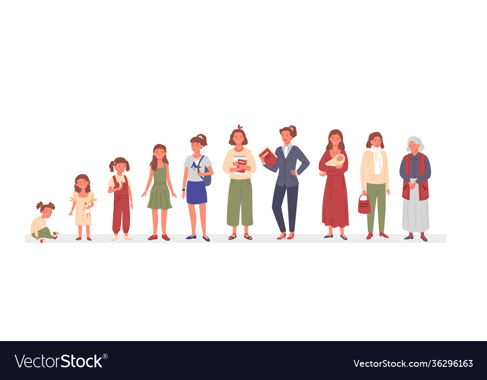 Woman ages life cycle happy female characters Vector Image