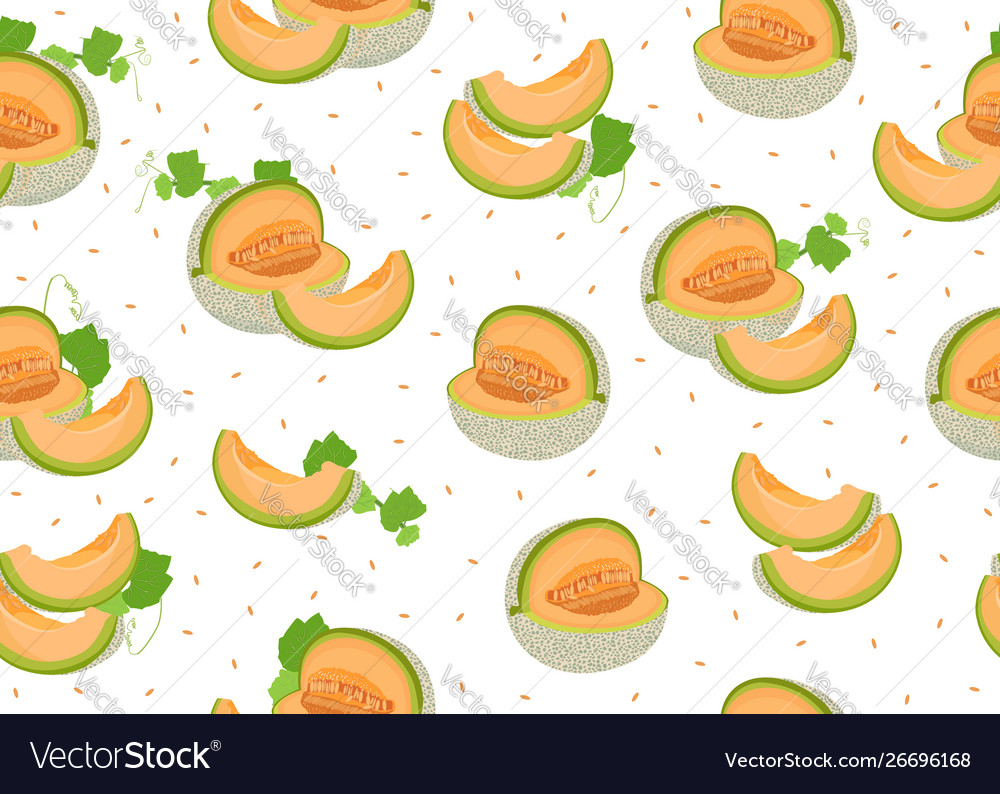 Cantaloupe Slice Pattern
