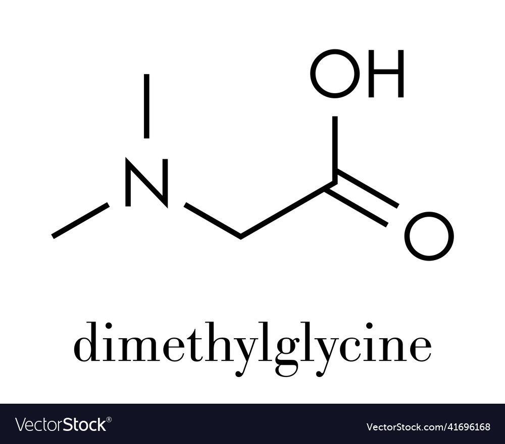 Dimethylglycine Dmg Molecule Methylated Royalty Free Vector