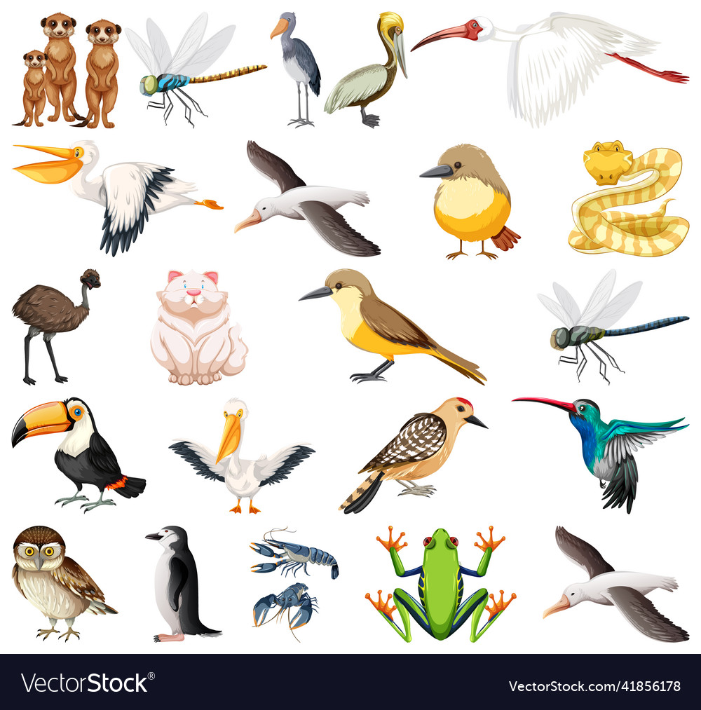 different-kinds-of-animals-collection-royalty-free-vector