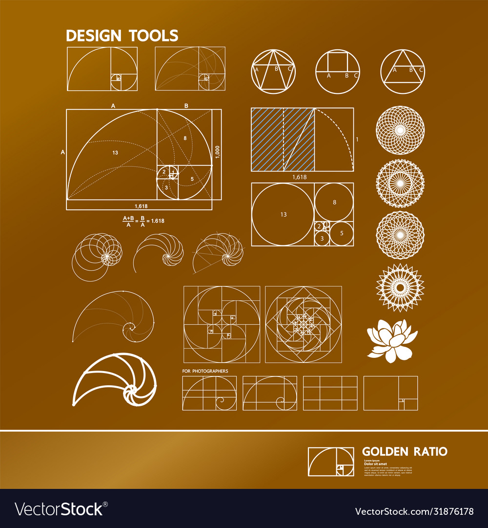 golden-ratio-for-creative-design-royalty-free-vector-image