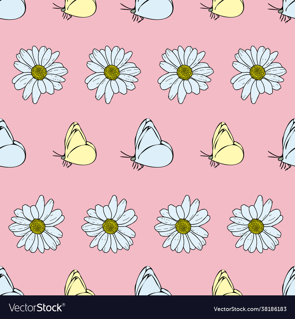 Pastel pink background daisy flowers wild