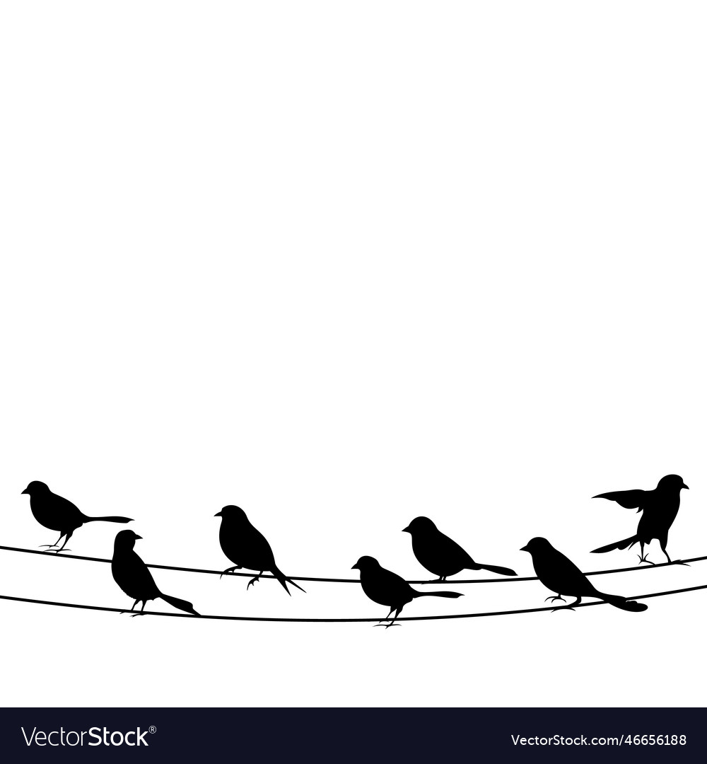 Bird on a wire