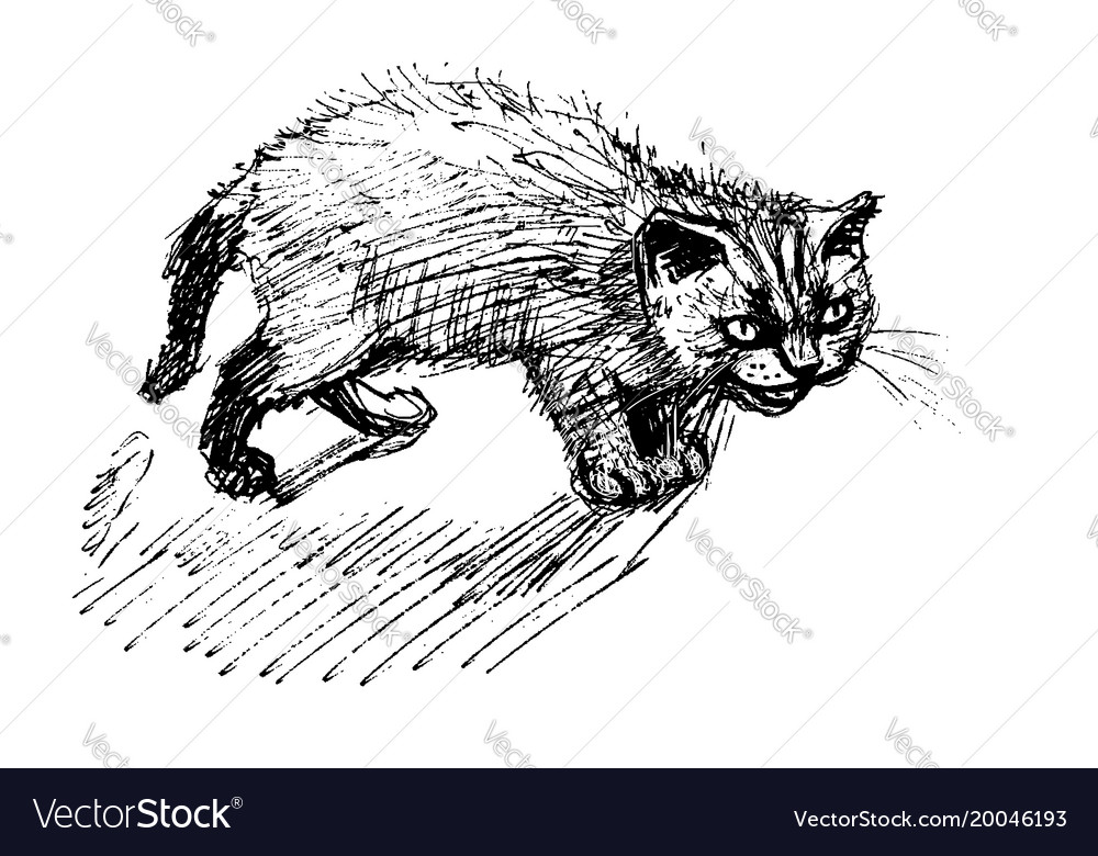 13,400+ Angry Cat Stock Illustrations, Royalty-Free Vector