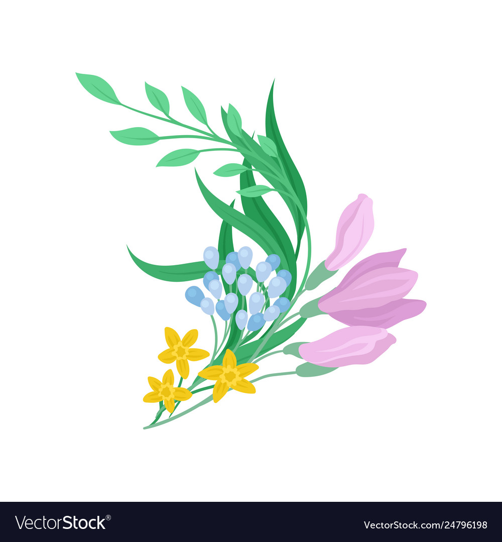 Colorful flowers on white background spring Vector Image